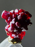 1cms PROUSTITE RED RUBY SILVER PERU UCHUCCHACUA MINE MINERAL SPECIMEN HB351
