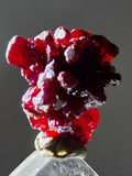 1cms PROUSTITE RED RUBY SILVER PERU UCHUCCHACUA MINE MINERAL SPECIMEN HB351