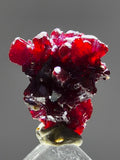1cms PROUSTITE RED RUBY SILVER PERU UCHUCCHACUA MINE MINERAL SPECIMEN HB351