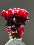 1cms PROUSTITE RED RUBY SILVER PERU UCHUCCHACUA MINE MINERAL SPECIMEN HB351