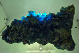 25cms NATURAL CHALCANTHITE Peru Copper Botryoidal Crystals Druzy Translucent Electric Blue Shiny Mineral FB109