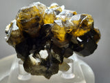 6.2cms CASSITERITE BRILLIANT CRYSTALS FACET GRADE  BOLIVIA EB104