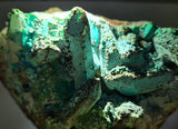 14.4cms QUARTZ CHRYSOCOLLA BOTRYOIDAL TENTADORA MINE PERU MINERAL SPECIMEN CB244