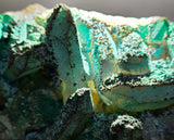 14.4cms QUARTZ CHRYSOCOLLA BOTRYOIDAL TENTADORA MINE PERU MINERAL SPECIMEN CB244