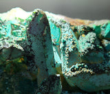 14.4cms QUARTZ CHRYSOCOLLA BOTRYOIDAL TENTADORA MINE PERU MINERAL SPECIMEN CB244
