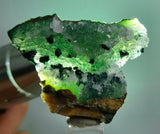 4.4cms GEM CLINOATACAMITE DRUZY CHRYSOCOLLA CRYSTAL LILY MINE PERU DB323