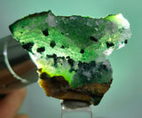 4.4cms GEM CLINOATACAMITE DRUZY CHRYSOCOLLA CRYSTAL LILY MINE PERU DB323