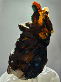 9.1cms CHRYSOCOLLA BOTRYOIDAL ON QUARTZ SHATTUCKITE TENTADORA MINE PERU CB246
