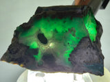 7.9cms DRUZY CHRYSOCOLLA QUARTZ CRYSTAL LILY MINE PERU 2000 YEAR DB243