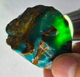 25grs GEM SILICA CHRYSOCOLLA CHALCEDONY LILY MINE PERU ROUGH SB247