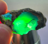 3.4grs GEM SILICA CHRYSOCOLLA CHALCEDONY LILY MINE PERU ROUGH SB259