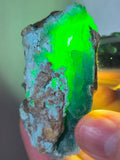 6.1cms DRUZY CHRYSOCOLLA QUARTZ CRYSTAL LILY MINE PERU 2000 YEAR DB327
