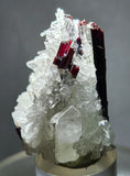 4.4cms RED HUBNERITE QUARTZ CRYSTALS MINERAL SPECIMEN COLLECTOR PERU MB210