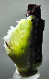 6.4cms RED HUBNERITE QUARTZ CRYSTALS MINERAL SPECIMEN COLLECTOR PERU MB212
