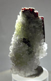 4.4cms RED HUBNERITE QUARTZ CRYSTALS MINERAL SPECIMEN COLLECTOR PERU MB214