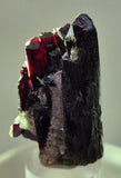 4.9cms RED HUBNERITE QUARTZ CRYSTALS MINERAL SPECIMEN COLLECTOR PERU MB218