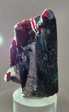4.9cms RED HUBNERITE QUARTZ CRYSTALS MINERAL SPECIMEN COLLECTOR PERU MB218
