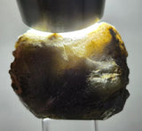 2.7cms DANBURITE CRYSTAL BOLIVIA SILICATE ORTHORHOMBIC MATRIX GEM FACET XB31