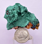 4.2cms GEM MALACHITE Crystals Ahouli Mines Midelt Province Morocco U617
