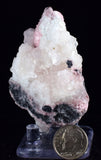 6.6cms RHODOCHROSITE MANGANO CALCITE Jordanite Galena Crystal Huanzala Peru Pink Mineral Specimen R682
