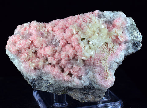 8.5cms RHODOCHROSITE STILBITE QUARTZ CRYSTALS BULGARIA MINERAL SPECIMEN