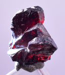 1cms PROUSTITE RED RUBY SILVER PERU UCHUCCHACUA MINE MINERAL SPECIMEN HB289