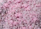 15cms RHODOCHROSITE QUARTZ ROSETTE CRYSTALS PERU MINERAL RB733