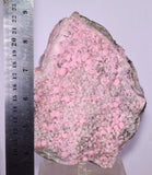 15cms RHODOCHROSITE QUARTZ ROSETTE CRYSTALS PERU MINERAL RB733