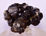 6.2cms CASSITERITE BRILLIANT CRYSTALS FACET GRADE  BOLIVIA EB104
