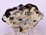 6.2cms CASSITERITE BRILLIANT CRYSTALS FACET GRADE  BOLIVIA EB104