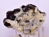 6.2cms CASSITERITE BRILLIANT CRYSTALS FACET GRADE  BOLIVIA EB104