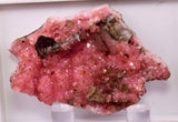4.4cm RHODOCHROSITE CRYSTALS SHIGAITE SOTH AFRICA OLD STOCK RB734
