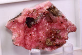4.4cm RHODOCHROSITE CRYSTALS SHIGAITE SOTH AFRICA OLD STOCK RB734