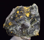 1.4cms NATIVE GOLD QUARTZ of the Incas Thumbnail Aesthetic Wire Gem Crystal Smoky Quartz Peru Rare Mineral Specimen LB194
