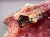 4.4cm RHODOCHROSITE CRYSTALS SHIGAITE SOTH AFRICA OLD STOCK RB734