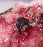 4.4cm RHODOCHROSITE CRYSTALS SHIGAITE SOTH AFRICA OLD STOCK RB734