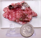 4.4cm RHODOCHROSITE CRYSTALS SHIGAITE SOTH AFRICA OLD STOCK RB734