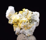 0.6cms UNIQUE NATIVE GOLD INCAS PYRITE CUBES PERU QUARTZ CRYSTALS LB195
