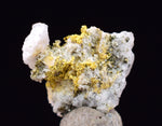 0.6cms UNIQUE NATIVE GOLD INCAS PYRITE CUBES PERU QUARTZ CRYSTALS LB195