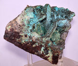 14.4cms QUARTZ CHRYSOCOLLA BOTRYOIDAL TENTADORA MINE PERU MINERAL SPECIMEN CB244