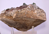 14.4cms QUARTZ CHRYSOCOLLA BOTRYOIDAL TENTADORA MINE PERU MINERAL SPECIMEN CB244
