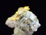 0.8cms UNIQUE NATIVE GOLD INCAS PYRITE CUBES PERU QUARTZ CRYSTALS LB197