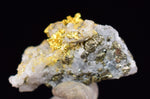 0.8cms UNIQUE NATIVE GOLD INCAS PYRITE CUBES PERU QUARTZ CRYSTALS LB197