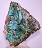 14.4cms QUARTZ CHRYSOCOLLA BOTRYOIDAL TENTADORA MINE PERU MINERAL SPECIMEN CB244