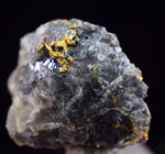 1.2cms NATIVE GOLD QUARTZ of the Incas Thumbnail Aesthetic Wire Gem Crystal Smoky Quartz Peru Rare Mineral Specimen LB199