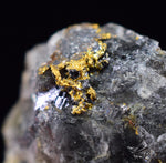 1.2cms NATIVE GOLD QUARTZ of the Incas Thumbnail Aesthetic Wire Gem Crystal Smoky Quartz Peru Rare Mineral Specimen LB199