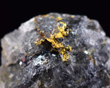 1.2cms NATIVE GOLD QUARTZ of the Incas Thumbnail Aesthetic Wire Gem Crystal Smoky Quartz Peru Rare Mineral Specimen LB199