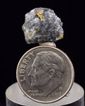 1.2cms NATIVE GOLD QUARTZ of the Incas Thumbnail Aesthetic Wire Gem Crystal Smoky Quartz Peru Rare Mineral Specimen LB199