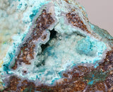 26.5cms DRUZY CHRYSOCOLLA QUARTZ CRYSTAL LILY MINE PERU 2000 YEAR DB310