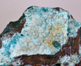 26.5cms DRUZY CHRYSOCOLLA QUARTZ CRYSTAL LILY MINE PERU 2000 YEAR DB310